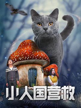 婷婷福利视频导航